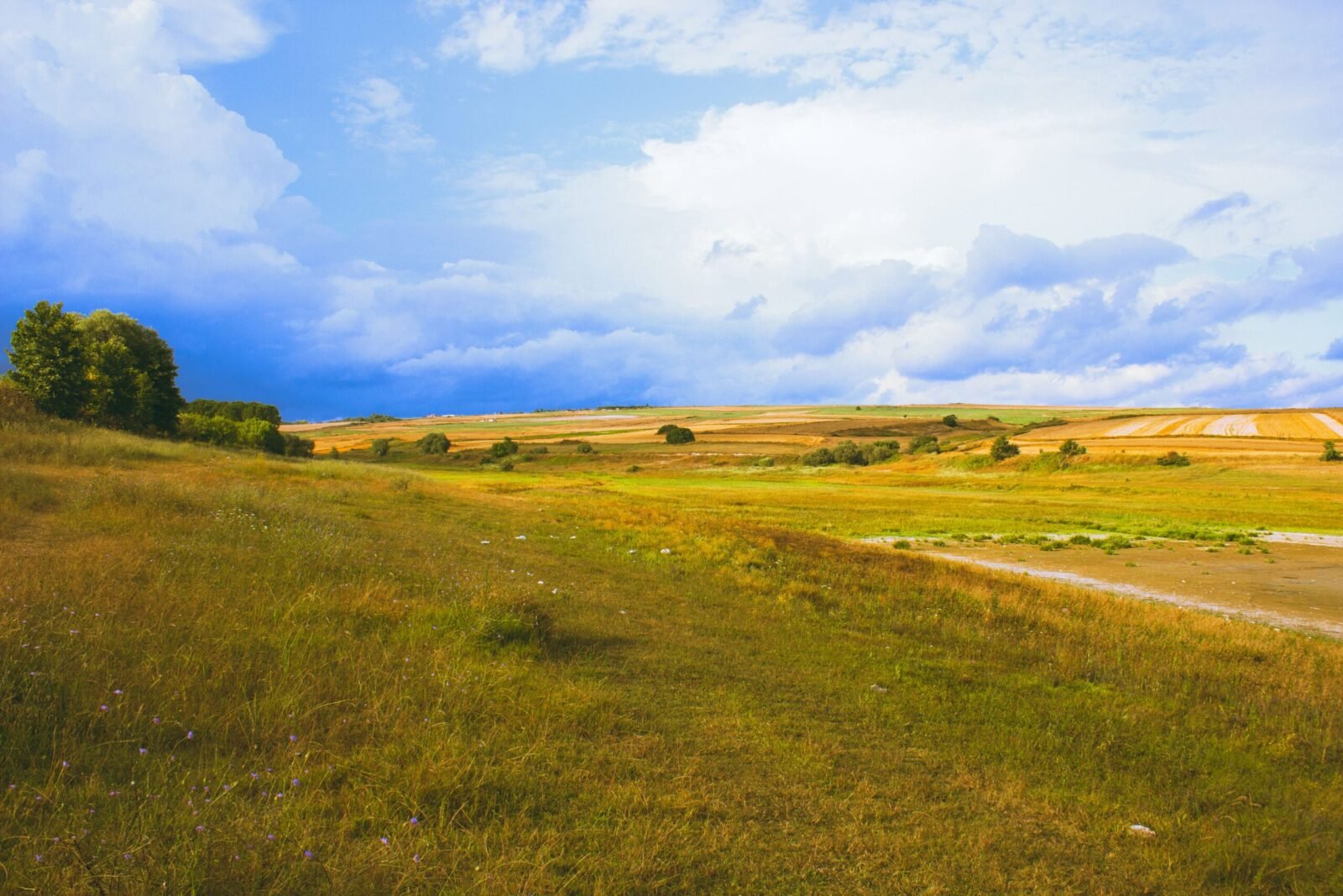 Serene countryside view featuring golden fields, under a dramatic cloudy sky, evokes tranquility.