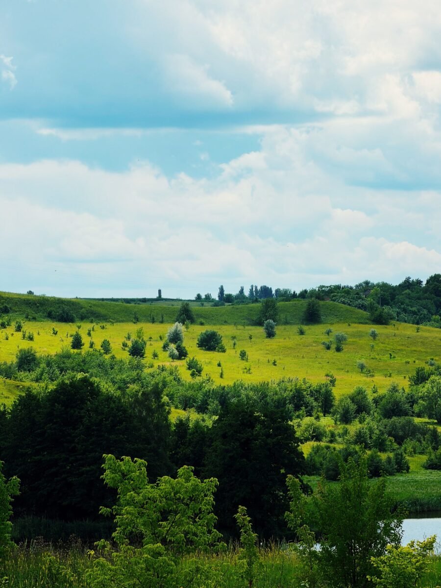 Lush green hills and trees under a vibrant summer sky.
