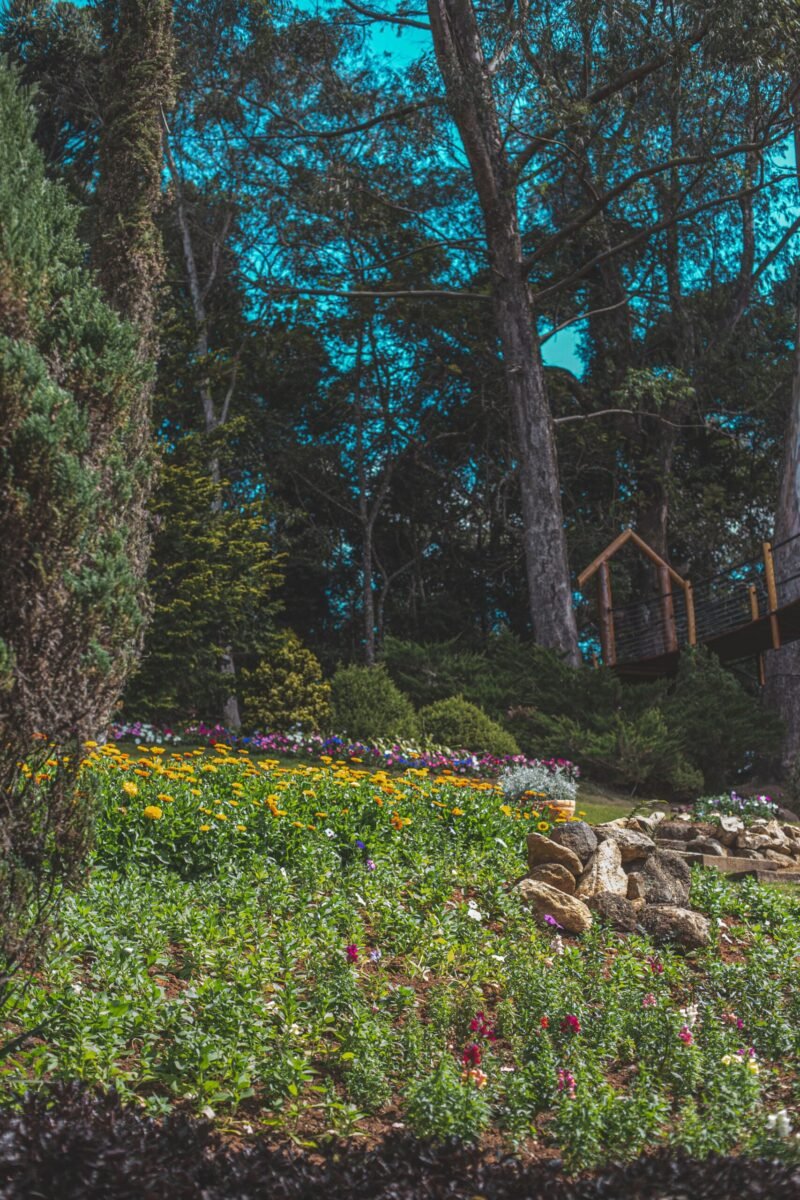 Bright flowers and lush greenery in a scenic garden setting in Campos do Jordão, Brazil.