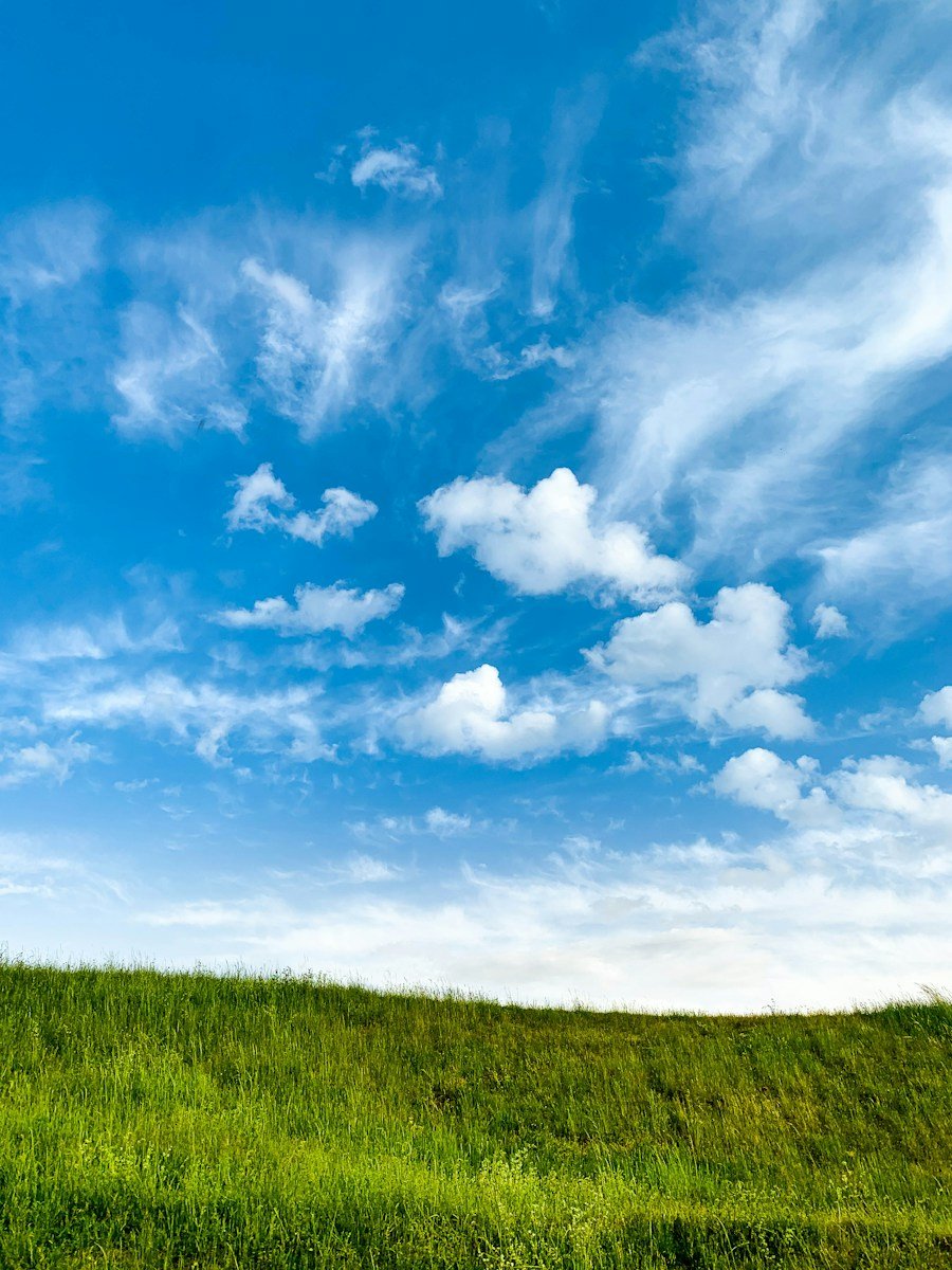green grass field under blue sky and white clouds during daytime